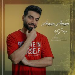 دانلود آهنگ سیاوش آراد آروم آروم